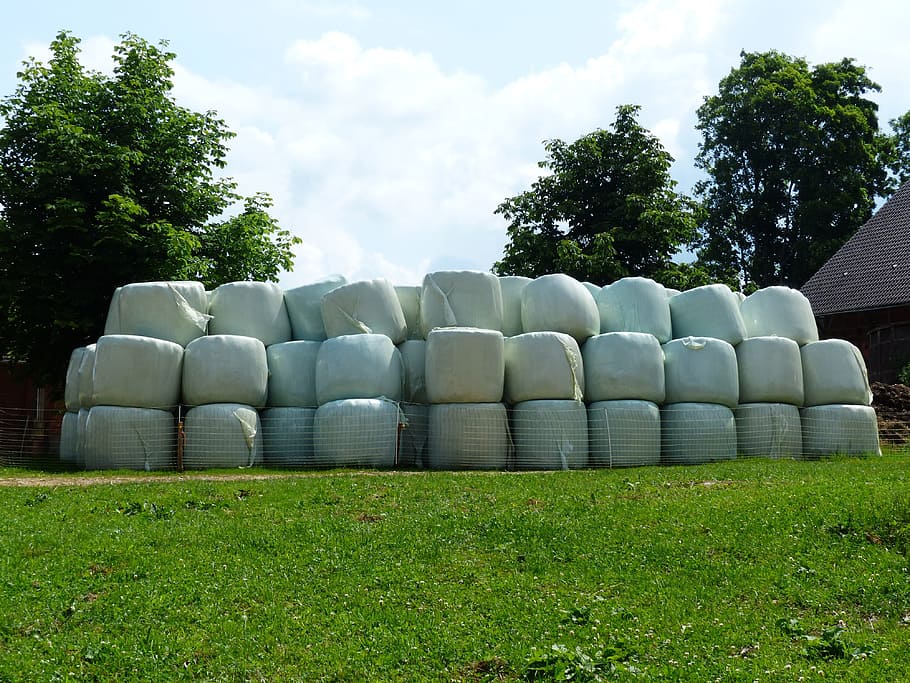 green, lawn grass, daytime, Hay, Straw Bales, Agriculture, hay bales, plastic, plastic ball, silage bales