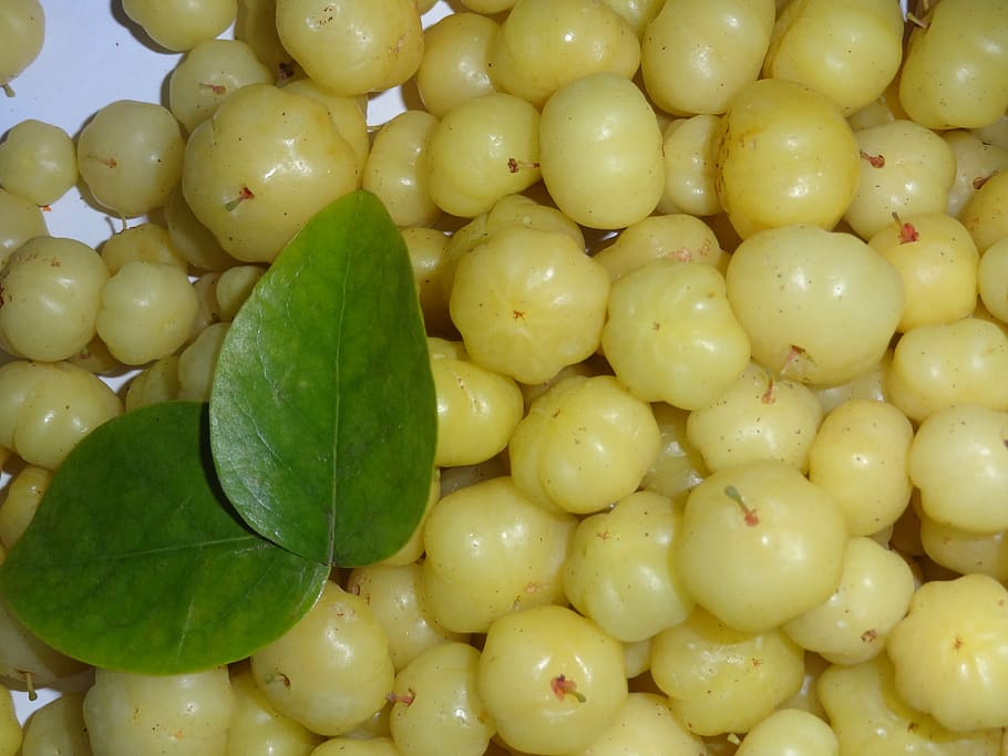round, yellow, fruits, two, green, leaves, goose berries, berries, amla, indian gooseberry