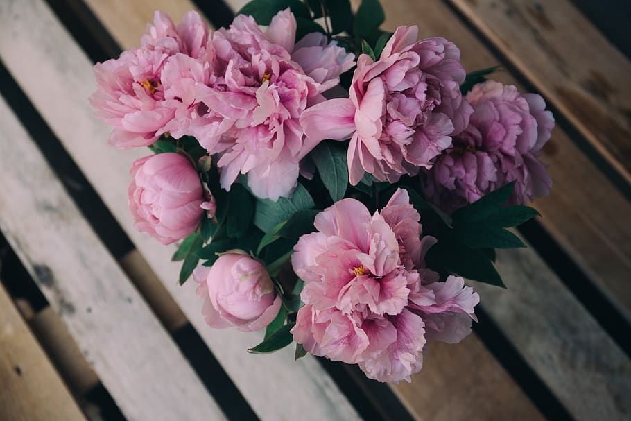 pink, flowers, bouquet, flowering plant, flower, pink color, freshness, vulnerability, fragility, plant