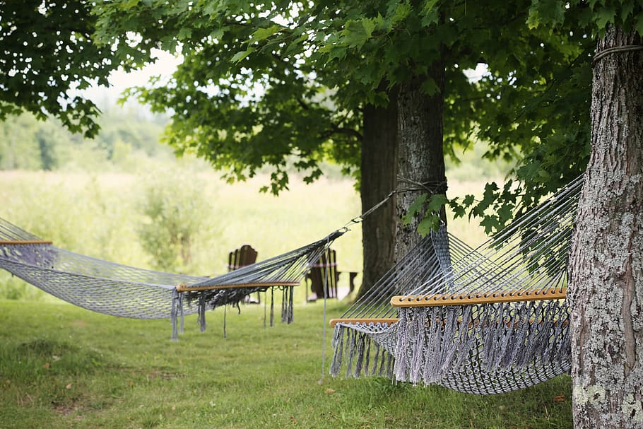 hammocks, trees, leaves, grass, nature, country, rural, relaxing, chill, plant