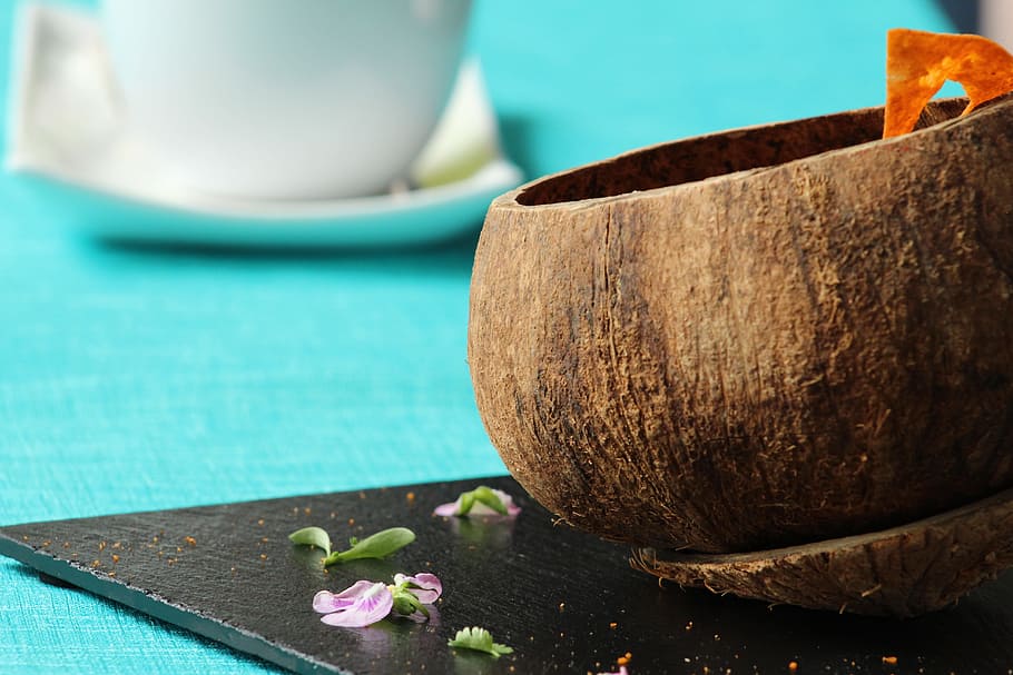 Food, Gastronomy, Fish, Coconut, Saucer, kitchen, seafood, delicious, mortar and Pestle, wood - Material
