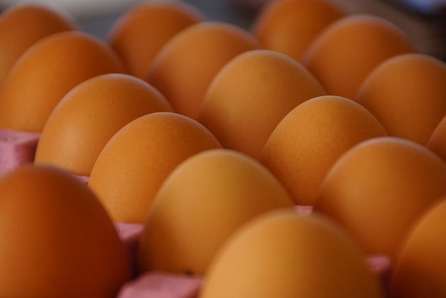eggs, brown, tray, poultry, food and drink, food, healthy eating, freshness, wellbeing, large group of objects