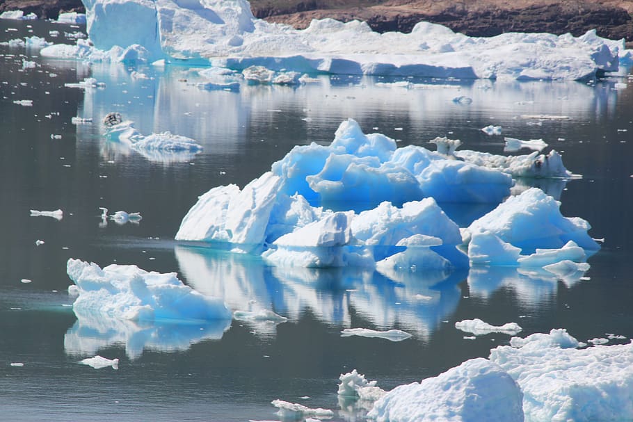Groenlandia, fiordo, icebergs, agua, hielo, temperatura fría, invierno, nieve, congelado, glaciar