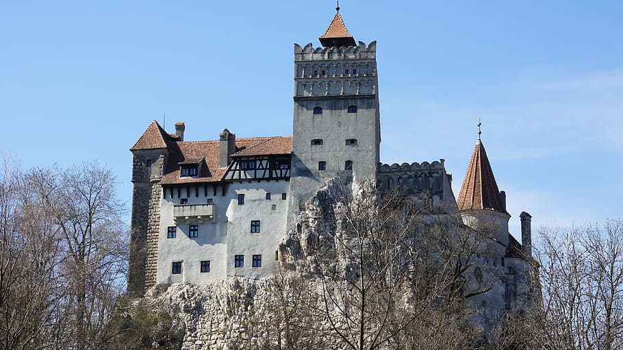 edificio de hormigón gris, salvado, castillo de salvado, drácula, rumania, bram stoker, vlad iii, ţepeş, castillo, torre