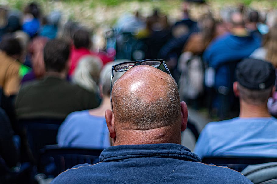 the balding, neck, the audience, reflection, blue, men, rear view, people, real people, crowd