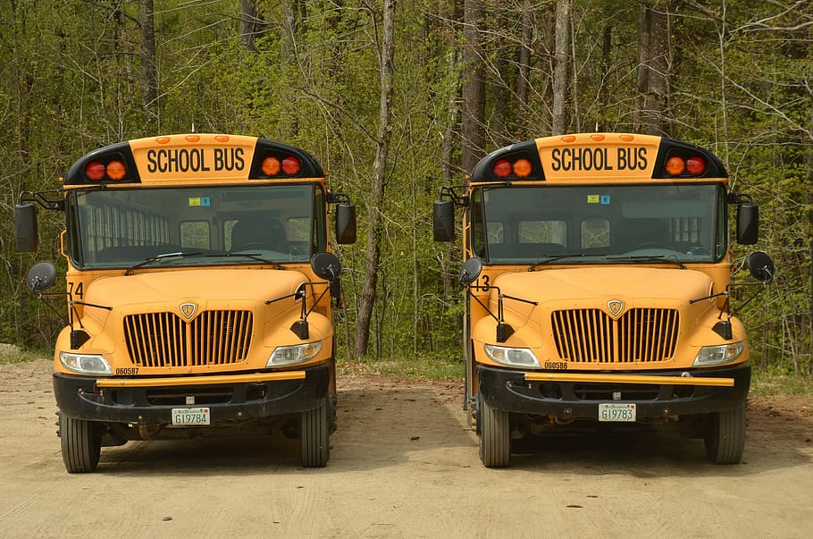 two, yellow, school buses, daytime, america, bus, schoolbus, school, transport, child