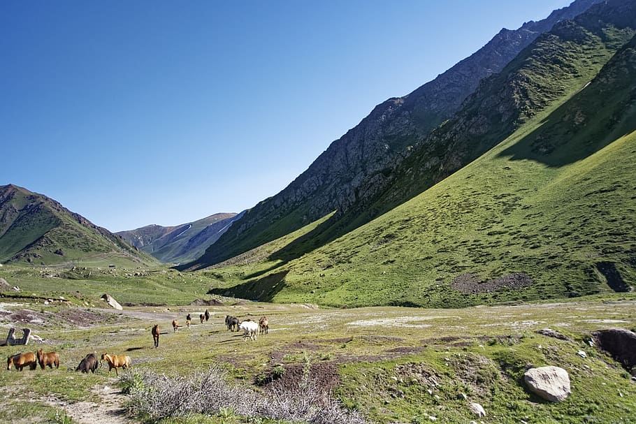 Kirguistán, valle chychkan, valle tschytschkan, valle, montañas, cordillera suusamyrtoo, cordillera, paisaje, naturaleza, cielo