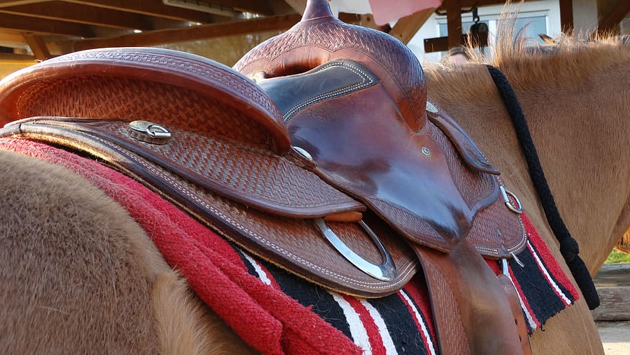 saddle, cowboy, western, horses, ranch, rodeo, nature, rural, west, leather
