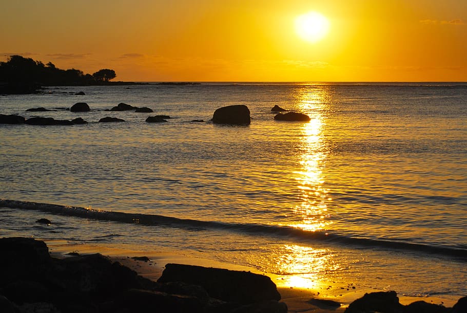 ocean wave, seashore, golden, hour, sunset, beach, background, beautiful, nature, end