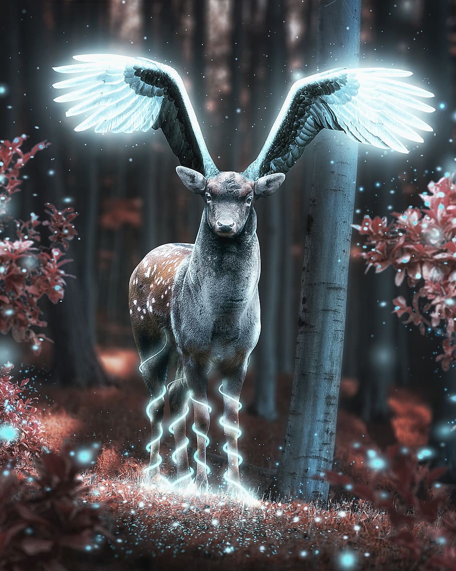 deer, nature, wings, shop, art, in the forest, the effect of, fabulous animal, gm, edit