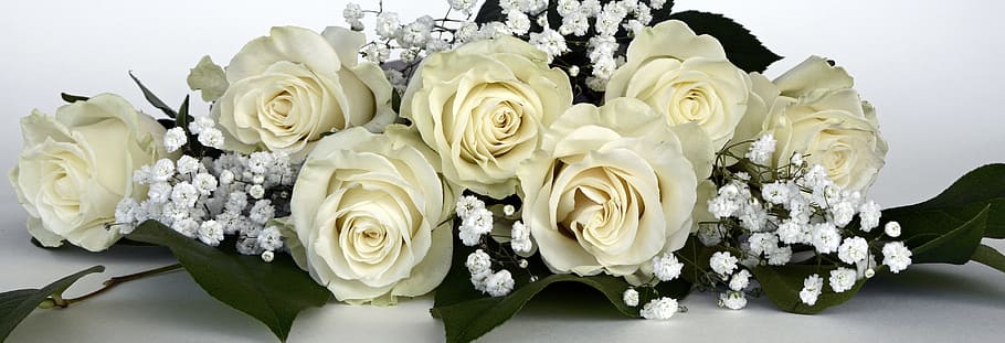 white, roses, baby-breath, flower bouquet, rose flower, flowers, gypsophila, flower, nature, bouquet of flowers