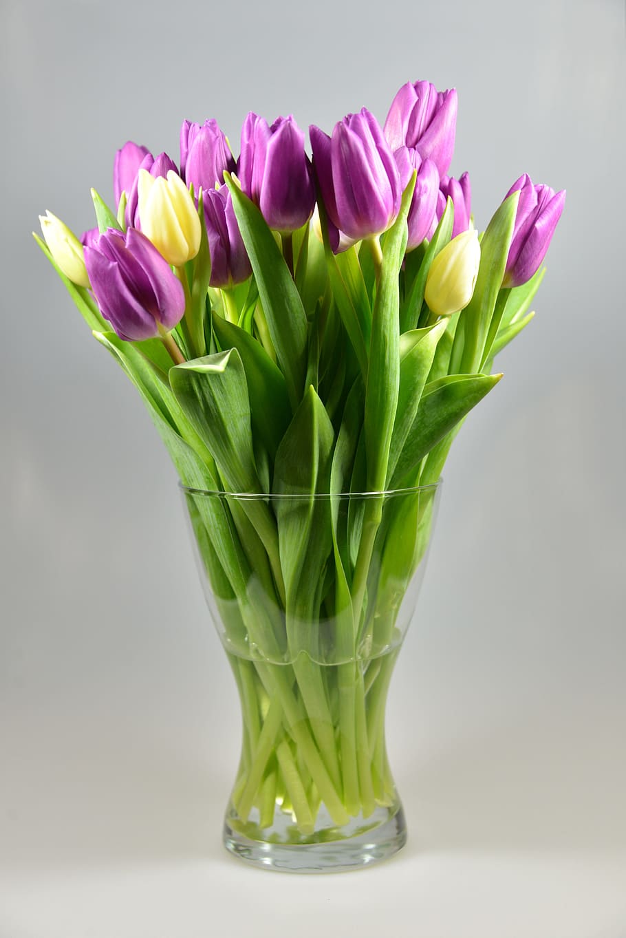 purple, yellow, tulips, flower vase, bouquet, flowers, birthday bouquet, deco, decoration, festivity