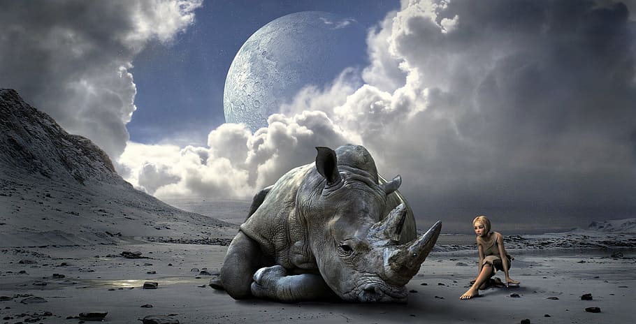 woman, sitting, gray, triceratops dinosaur 3, 3d, wallpaper, mood, landscape, rhino, fantasy