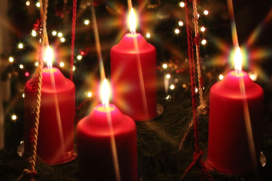 empat lilin merah, Natal, Kedatangan, Lilin, Liburan, dekorasi, perayaan, musim dingin, riang, meriah