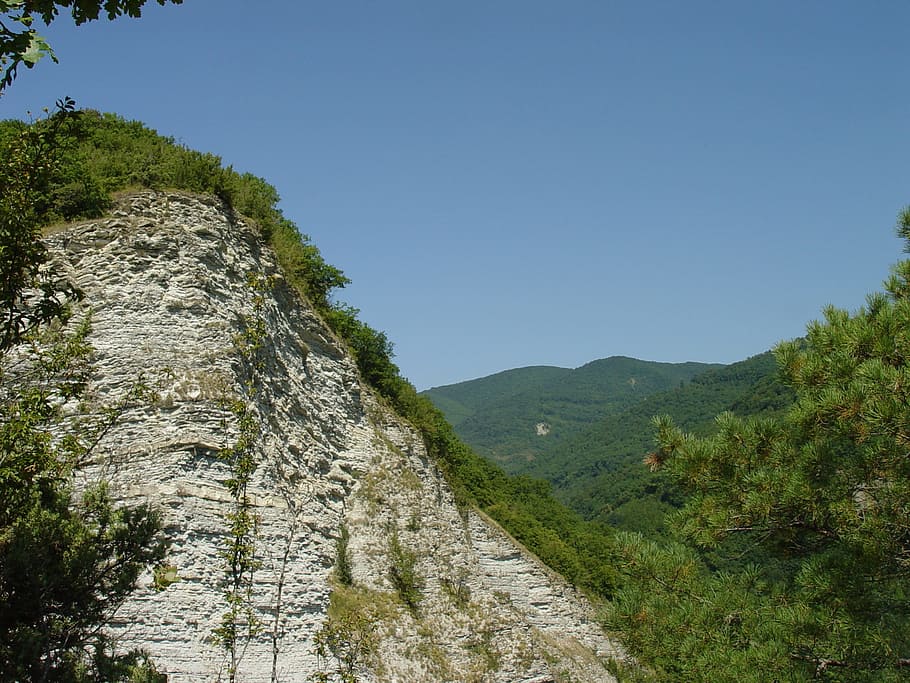 Mountains, Rocks, Caucasus, the caucasus, mountain, mountain range, nature, scenics, tree, pine tree