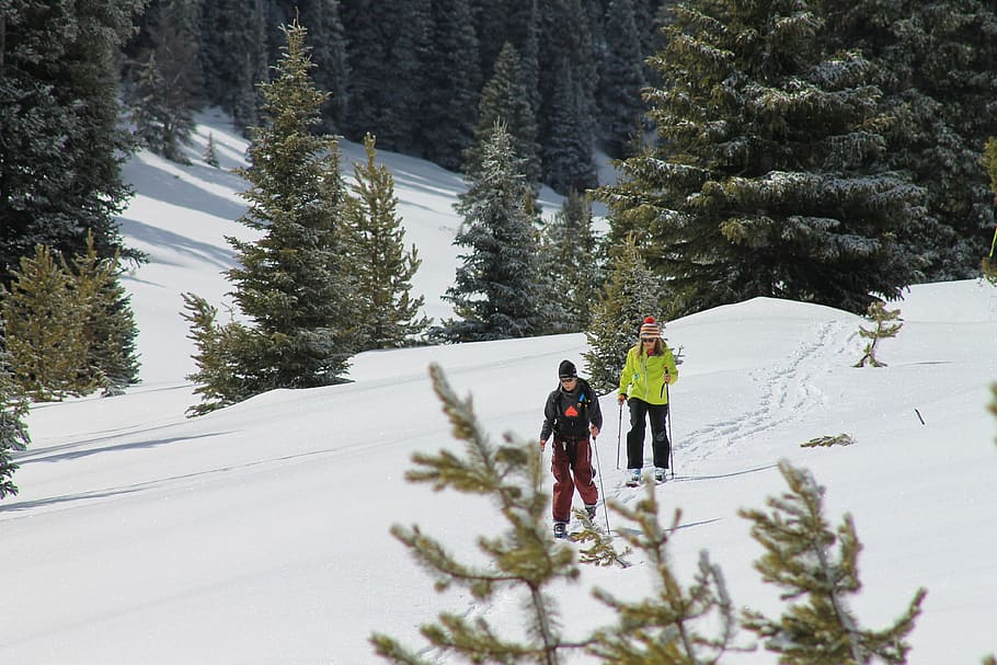 backcountry ski, ski, mountain, off-piste, backcountry, nature, snow, winter, cold temperature, tree