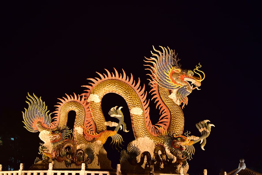 dragon, gold, night, representation, animal representation, art and craft, chinese dragon, creativity, holiday, celebration