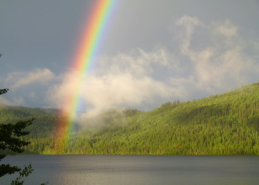 landscape photography, rainbow, hill, lake, clear, sky, daytime, canim lake, british columbia, canada