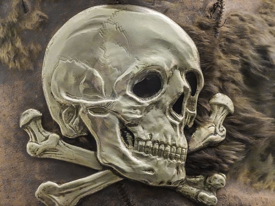 エンボス加工された銀の頭蓋骨, 銀, 頭蓋骨, ロゴ, 海賊, 骨, スケルトン, 死, 戦争, ペスト