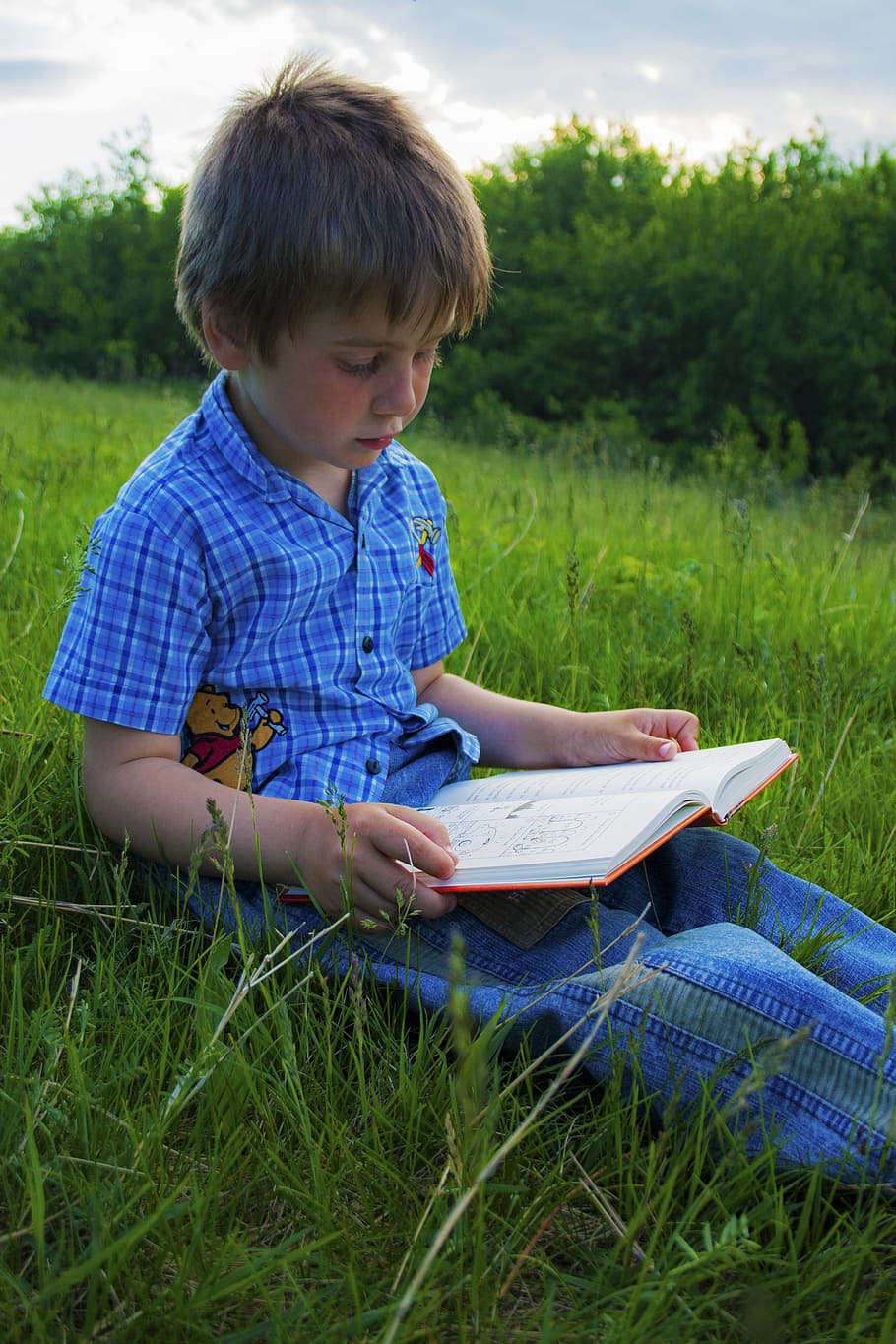 boy, sitting, green, grass field, reading book, daytime, child, innocence, reading, book