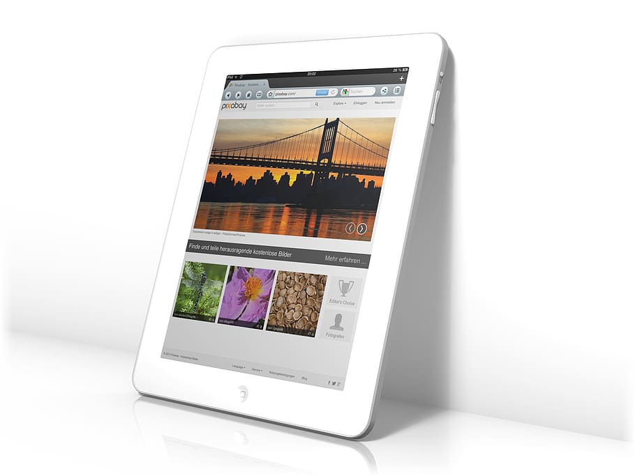 branco, mostrando, dourado, ponte do portão, iPad, ponte do portão dourado, tablet, tela, internet, navegador
