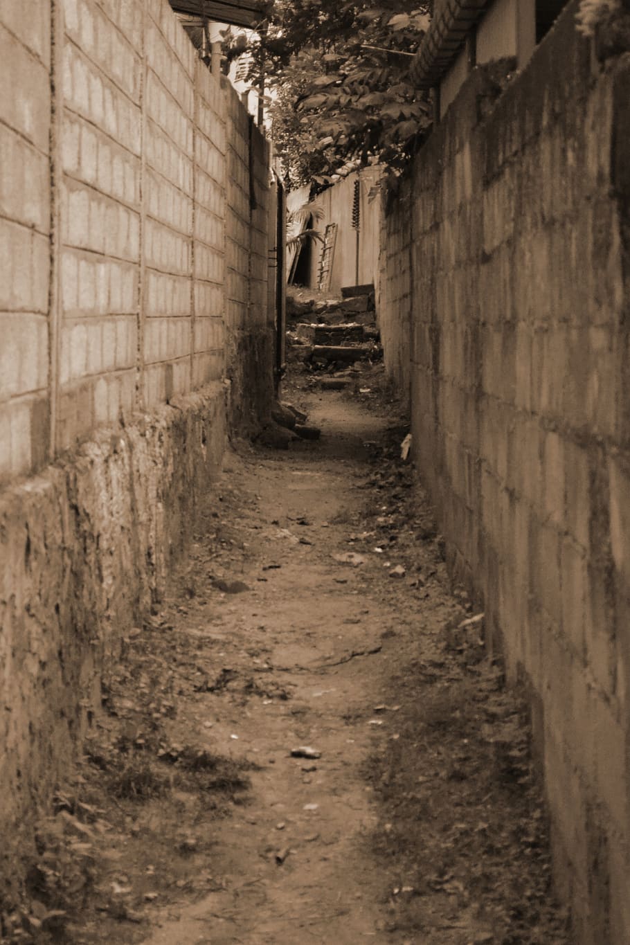 path, way, alley, alleyway, gap, wall, sepia, narrow, architecture, dirt