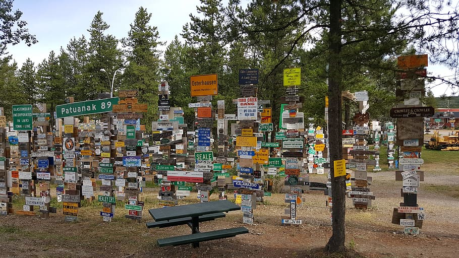 Placa de sinalização, floresta, lago watson, yukon, floresta de orientação, estrada do alasca, sinais, alasca, turista, turismo