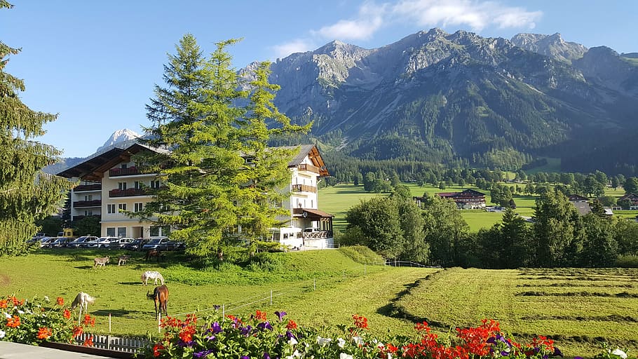 dachstein, mountains, alps, nature, house, accommodations, guesthouse, hotel, alpin, landscape