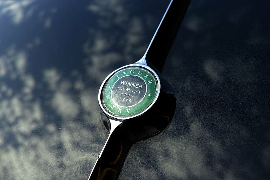 coche, logotipo, reflejo, jaguar, verde, negro, foto del producto, primer plano, una persona, tenencia