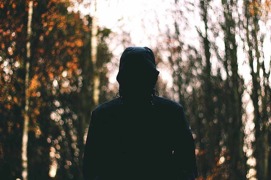 person, wearing, hoodie, surrounded, trees, people, man, alone, woods, forest