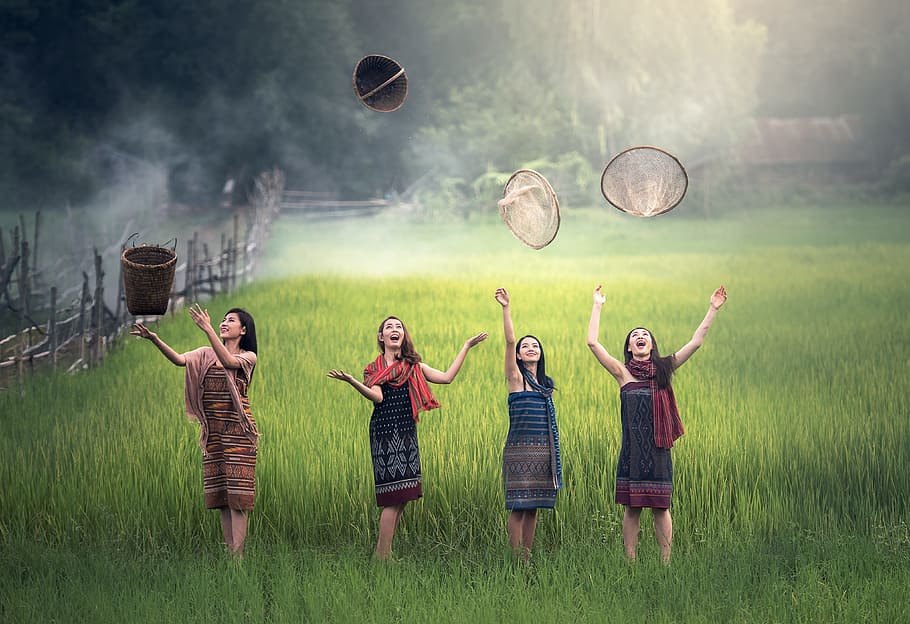 four, women, rice field, throwing, baskets, daytime, rice, green, countryside, the country