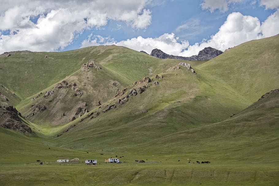 kyrgyzstan, nomads, graze, animals, hills, hill, plateau, mountains, landscape, the pamir highway