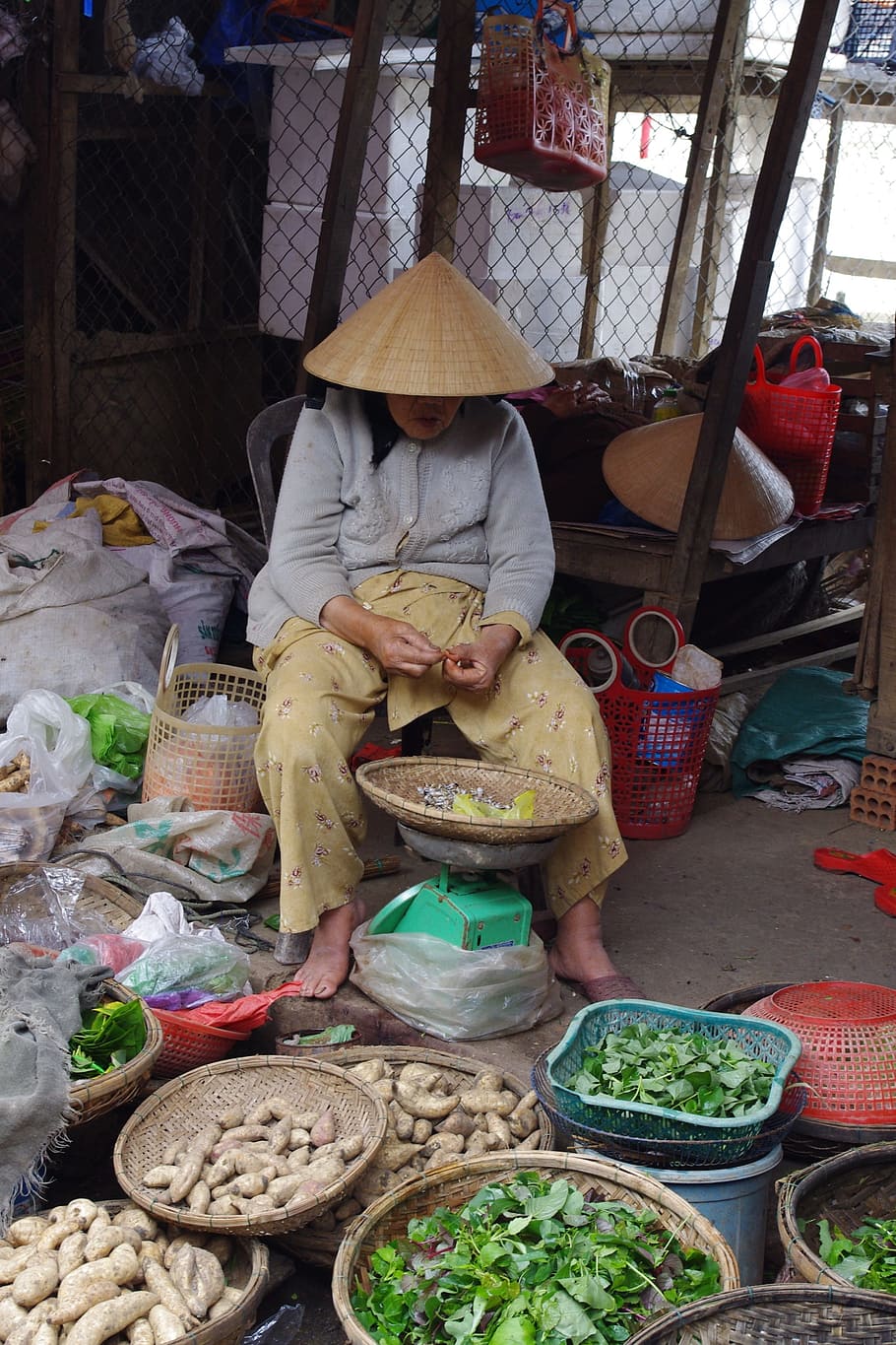 Vendor, Sayuran, Pasar, Penjual, berdaun, umbi-umbian, keranjang, wanita, hoi, vietnam