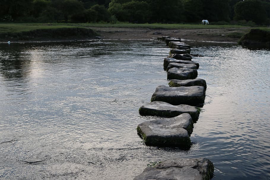 jalur batu, tubuh, Langkah, Batu, Sungai, Air, Jalan, alam, refleksi, ketenangan