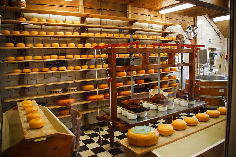 bake shop, cheese, clean, commercial, dairy, equipment, factory, food, industrial, industry