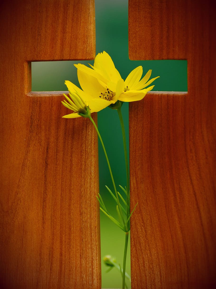 cross, yellow, petaled flower print, symbol, christian faith, faith, christianity, christ, christian, wooden cross