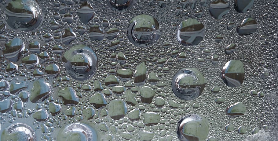 drop of water, condensation, fractal, pattern, water, drip, tiny, small, surface tension, fogging