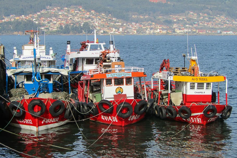 spain, galicia, boats, fishing, mussel, ria de vigo, nautical vessel, transportation, mode of transportation, water