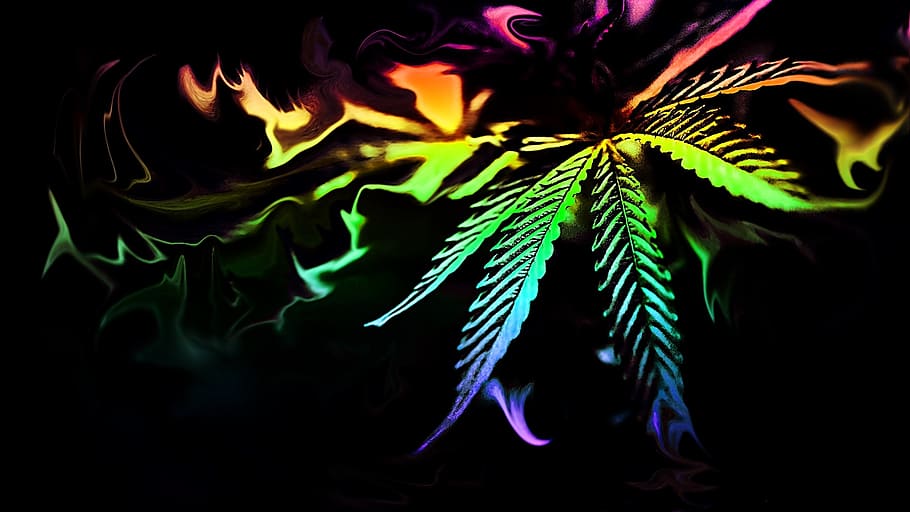 desktop, dark, abstract, color, art, weed, marijuana, cannabis, rainbow, colorful abstract background