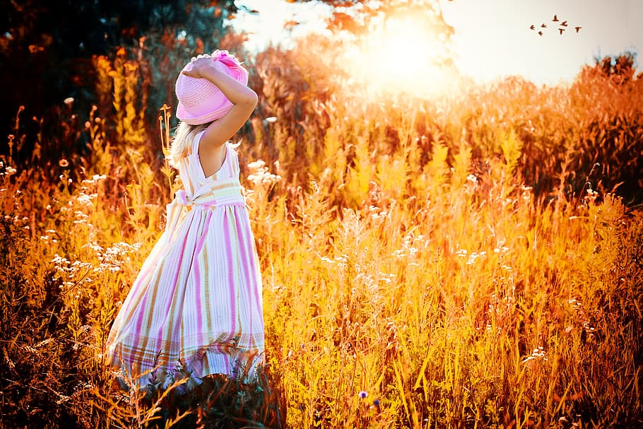 girl, wearing, pink, dress, sunset, birds, little, autumn, sunrise, yellow