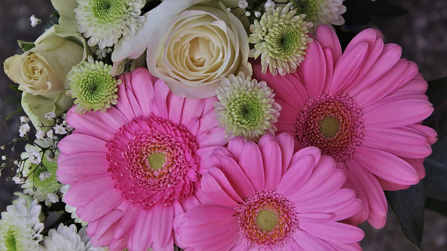bouquet, the smell of, gerberas, roses, pink, the petals, floral, thank you, petal, rose