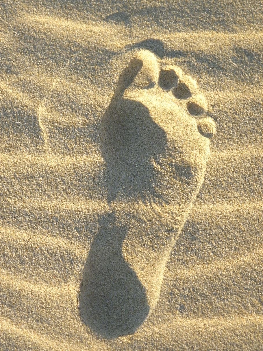 sand, foot, reprint, footprint, sand beach, summer, traces, barefoot, shadow, sunlight