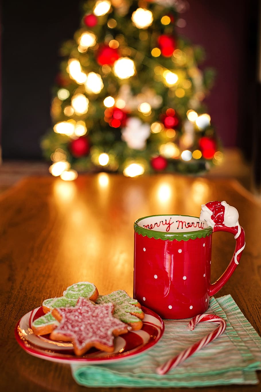 red, ceramic, mug, cookies, saucer, christmas, still life, tree, hot chocolate, hot cocoa