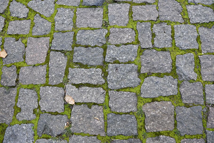 paving stones, grass, moss, stones, ground, away, repetition, green, pattern, grey square