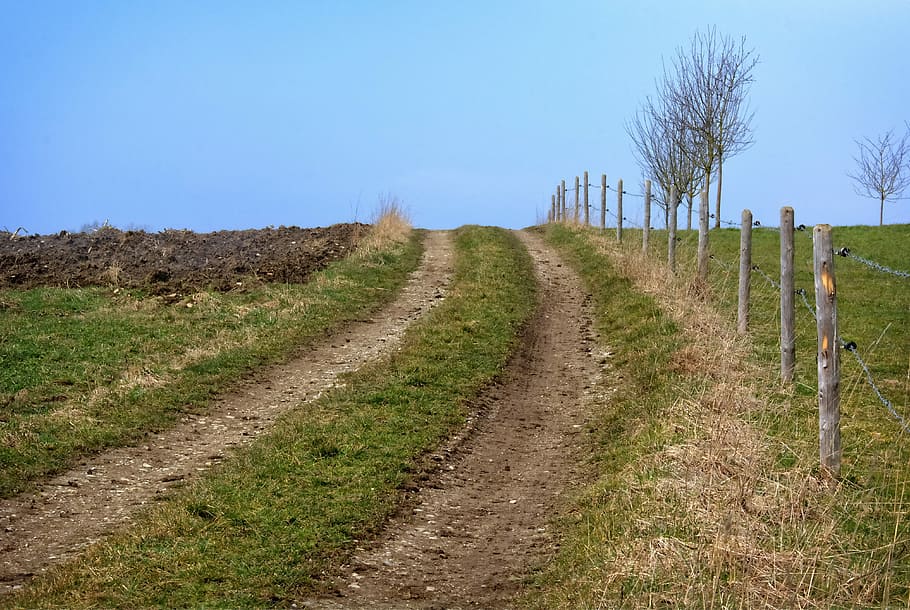 Away, Nature, Meadow, Field, lane, landscape way, fence, pasture fence, agriculture, dirt track