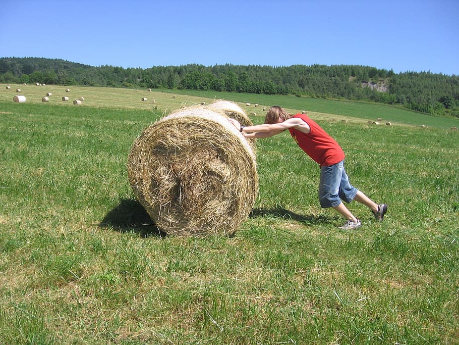 meadow, hay, boy, playing, fun, pushing, hay bale, bale, plant, land