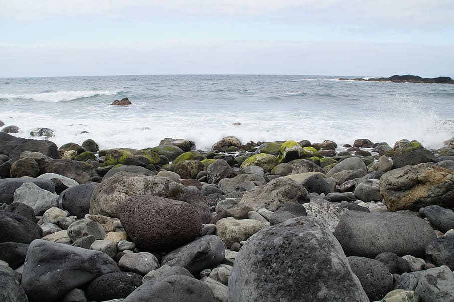 stones, bank, shore stones, rock, rocky, surf, bemoost, moss, seaweed, water