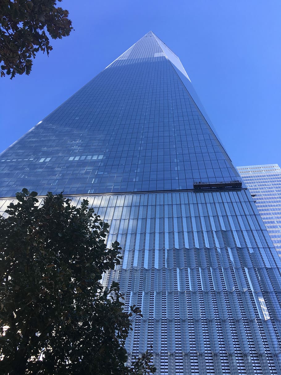 low, angle photo, glass building, glass items, architecture, sky, modern, skyscraper, tallest, city