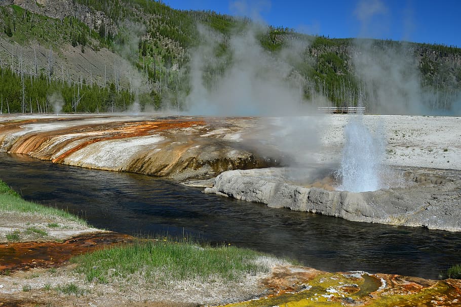 geyser, yellowstone, colorful, steam, black sand basin, cliff geyser, stream, water, eruption, bacteria mat