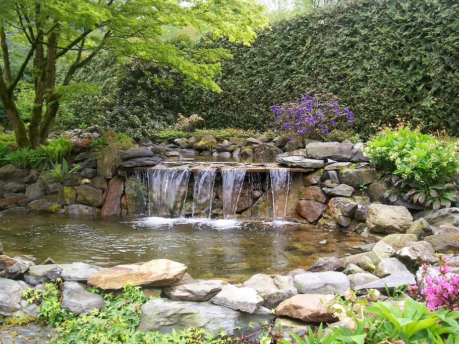 garden waterfall pond, waterfall, park, nature, landscape, stream, plant, rock, water, tree